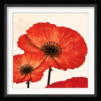 Dreams of Summer V Fine Art Print