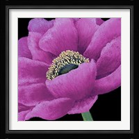 Brilliant Blooms I Fine Art Print