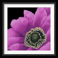 Brilliant Blooms II Fine Art Print