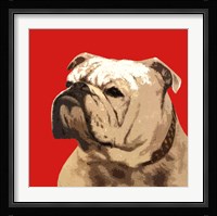 The British Bulldog, Red Fine Art Print