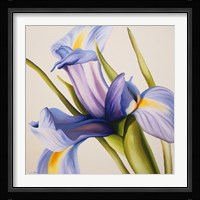 Iris Wind Fine Art Print