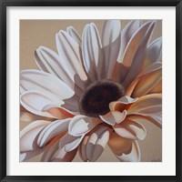 White Gerbera Fine Art Print