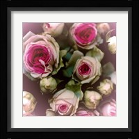 Roses Fine Art Print