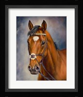 Frankel Fine Art Print