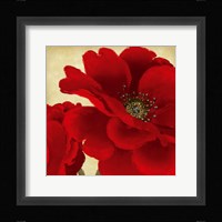 Red Peony I Fine Art Print