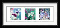 Summer Border Triptych Fine Art Print