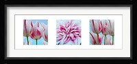 Fresh Blooms Triptych Fine Art Print
