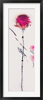 Oriental Rose I Fine Art Print