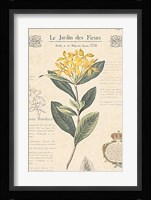 Le Jardin des Fleurs I Fine Art Print