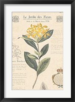 Le Jardin des Fleurs I Fine Art Print