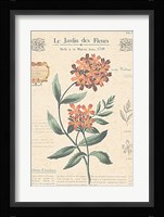Le Jardin des Fleurs II Fine Art Print