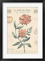 Le Jardin des Fleurs II Fine Art Print