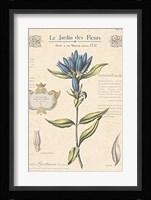 Le Jardin des Fleurs III Fine Art Print