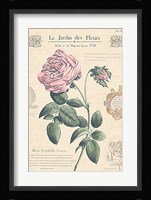 Le Jardin des Fleurs IV Fine Art Print