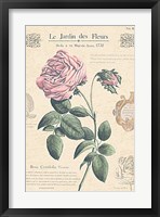 Le Jardin des Fleurs IV Fine Art Print