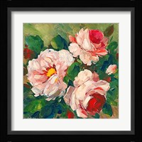 Rose Garden I Framed Print