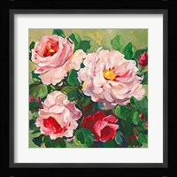 Rose Garden II Framed Print
