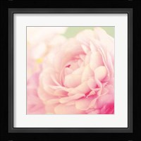 Bloom Fine Art Print