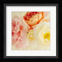 Bouquet III Fine Art Print