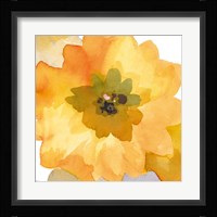 Ginger Gold I Fine Art Print