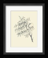 Chicken Stone Tree Fine Art Print