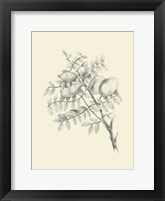 Chicken Stone Tree Fine Art Print