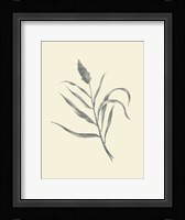 Guinea Corn Fine Art Print