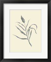 Guinea Corn Fine Art Print