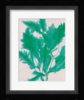 Emerald Sea III Fine Art Print