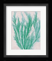 Emerald Sea IV Fine Art Print