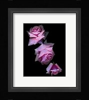 Botanical Harmonies I Fine Art Print