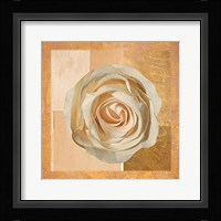 Warm Rose I Fine Art Print