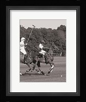 Polo In The Park IV Fine Art Print