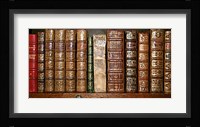 Biblioteca I Framed Print