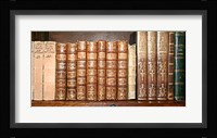 Biblioteca II Framed Print