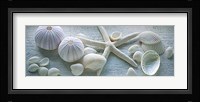 Driftwood Shells I Fine Art Print