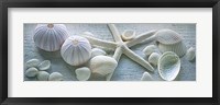 Driftwood Shells I Fine Art Print