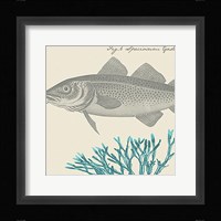 Sea and Shore II Fine Art Print