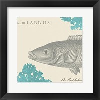 Sea and Shore III Fine Art Print