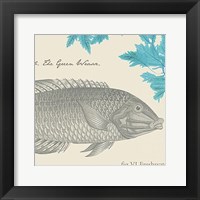 Sea and Shore IV Fine Art Print