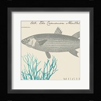 Sea and Shore V Fine Art Print