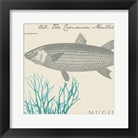 Sea and Shore V Fine Art Print