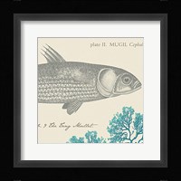 Sea and Shore VI Fine Art Print