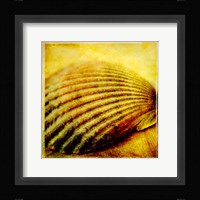 At the Seashore I Framed Print