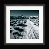 Lone Pine V Fine Art Print