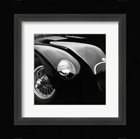 Jaguar C-Type Fine Art Print