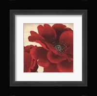 Red Peony I Fine Art Print
