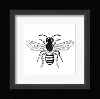 Bee Fine Art Print