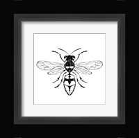 Wasp Fine Art Print
