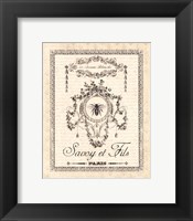 Memories de Paris II Fine Art Print